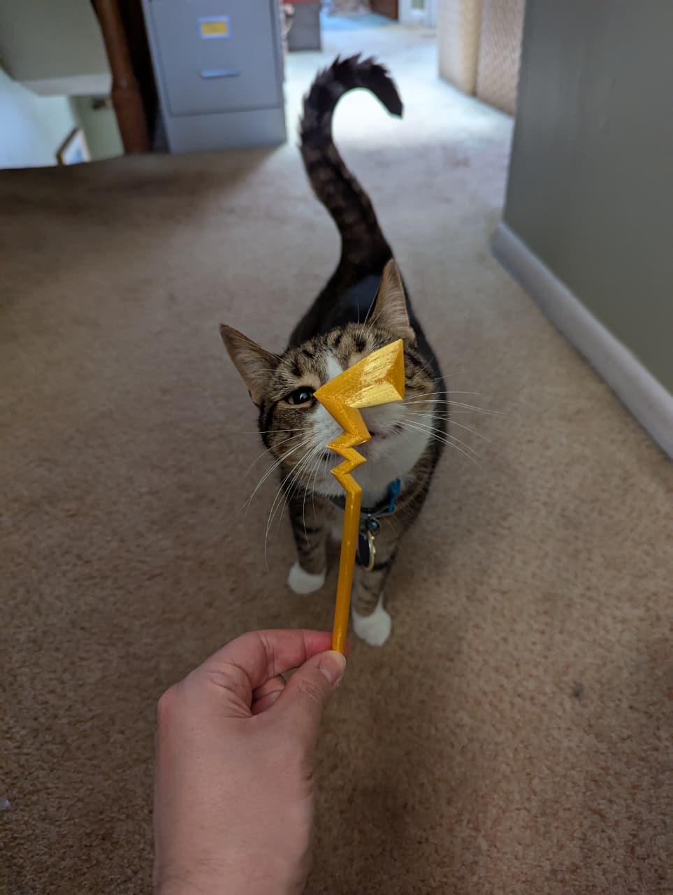 Pikachu tail hairpin