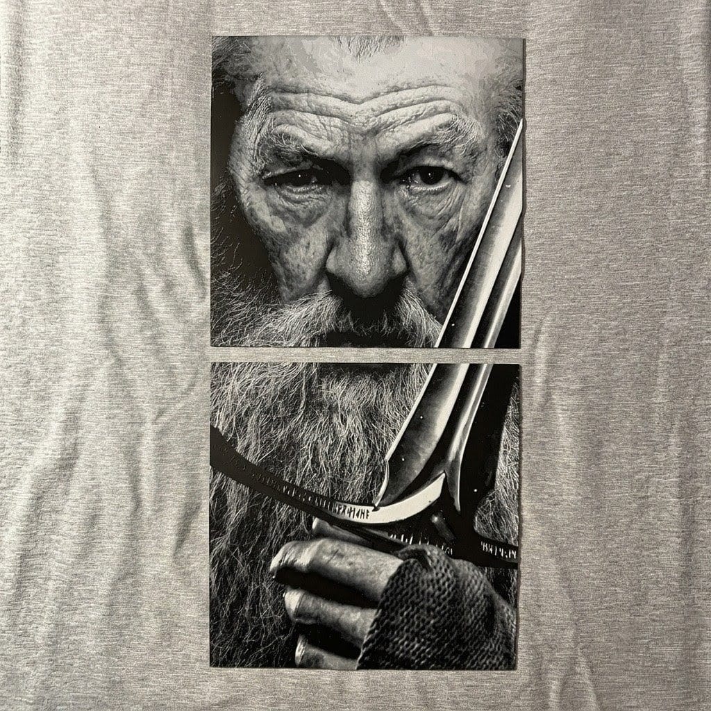 Gandalf 3d Portrait ( 20cmx40cm)