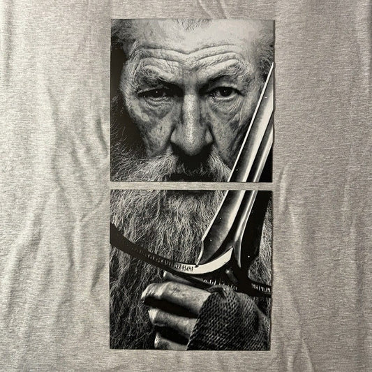 Gandalf 3d Portrait ( 20cmx40cm)