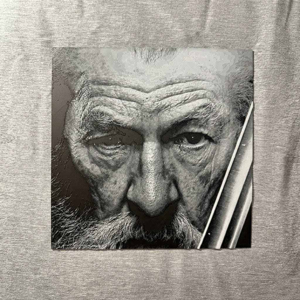 Gandalf 3d Portrait ( 20cmx40cm)