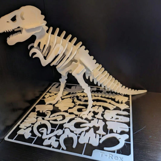 Dino Skeleton Assembly Kit
