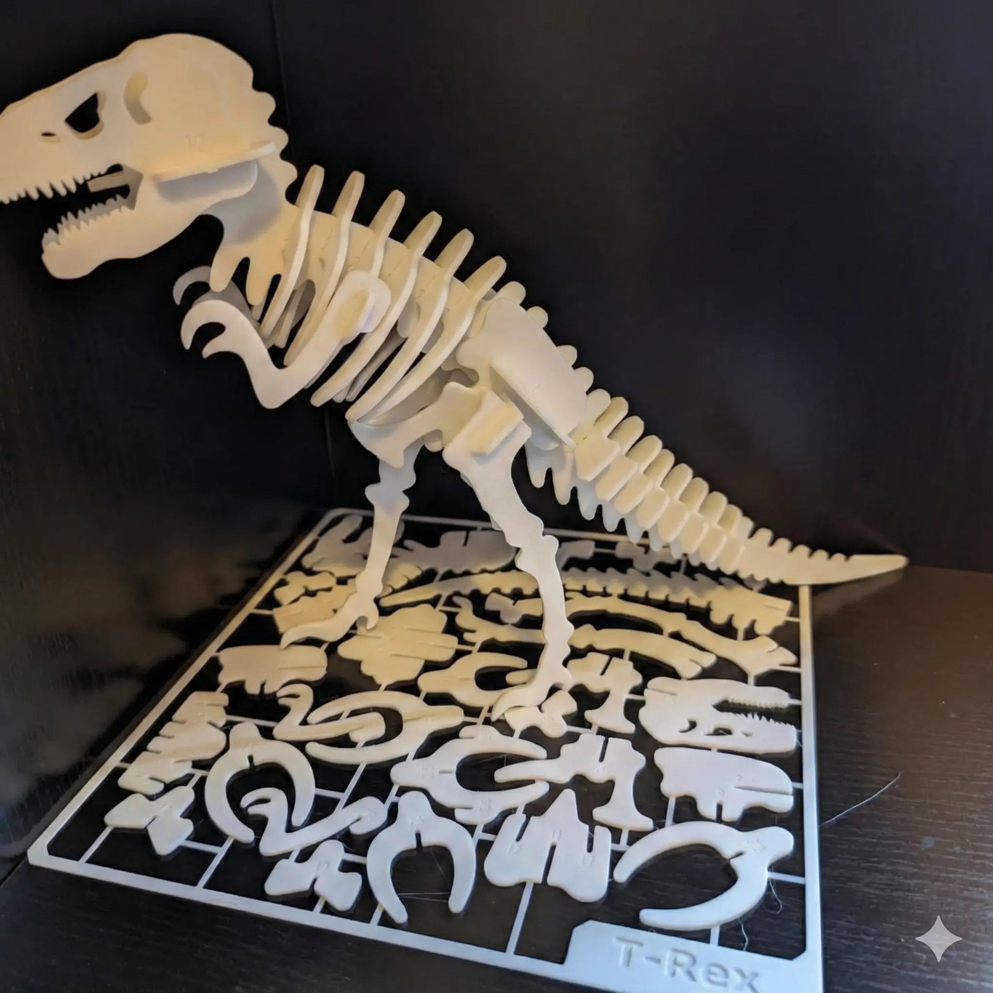 Dino Skeleton Assembly Kit